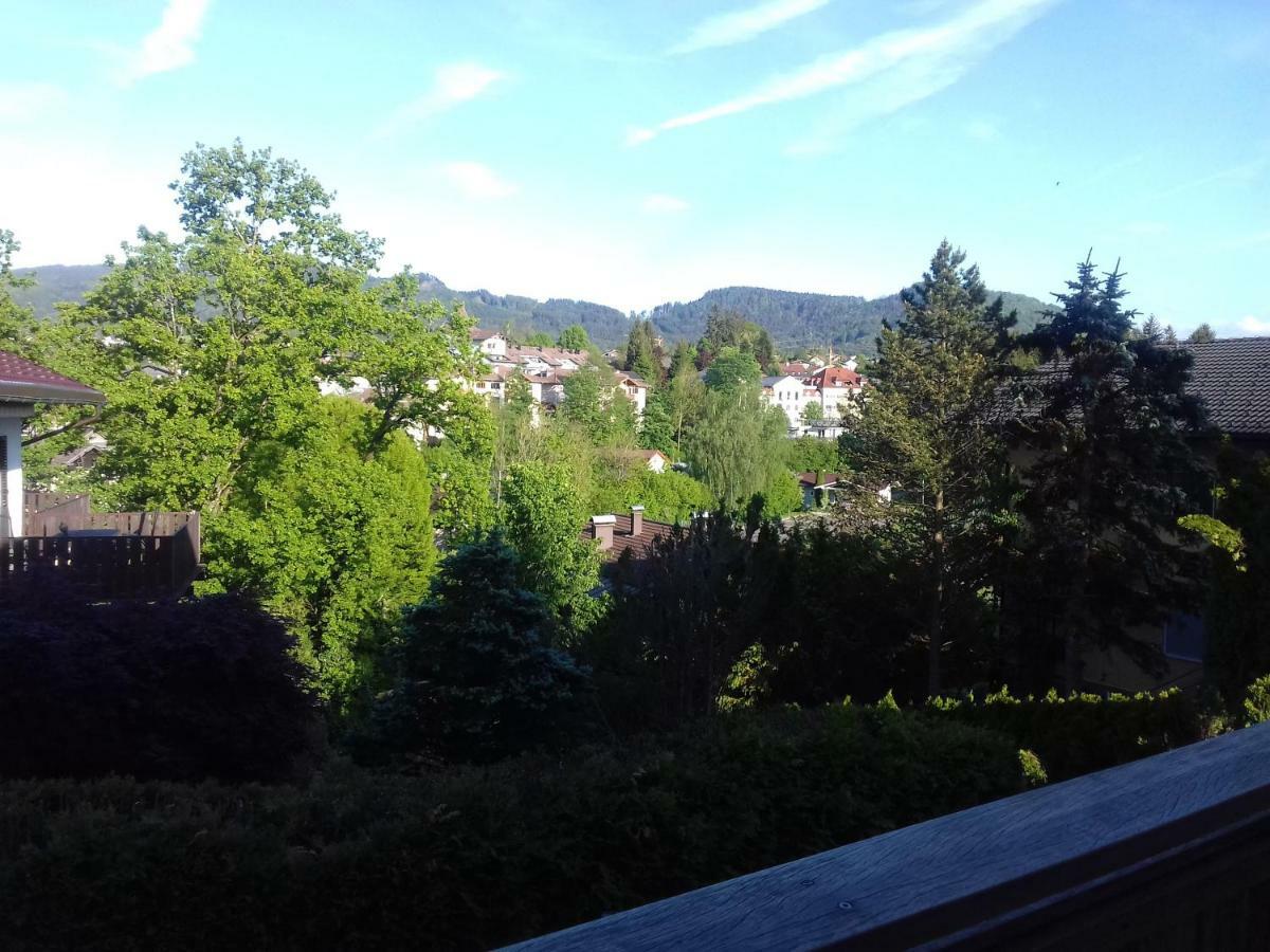 Ferienwohnung Wiesmuehlstrasse Henndorf am Wallersee Kültér fotó